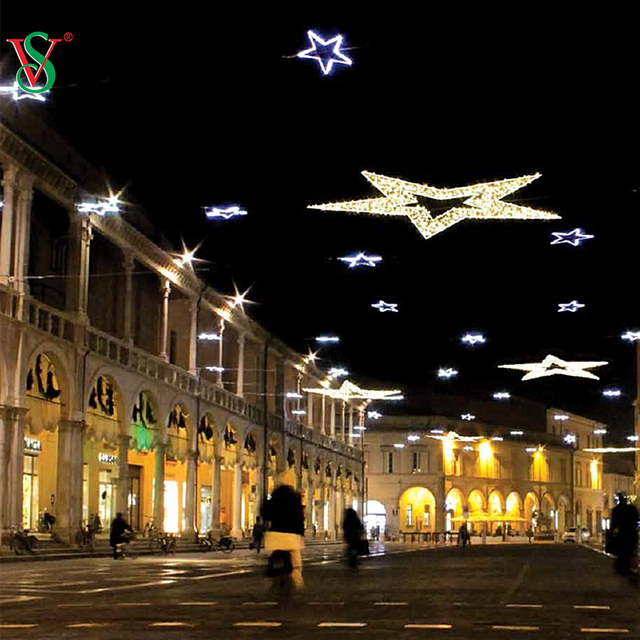 Kundenspezifisches Design Animierte LED-2D-Schneeflocke-Lichter für Weihnachtsdekoration